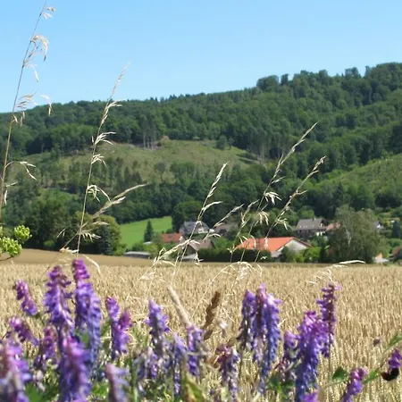 Appartamento Ferienwohnung Fasse *
